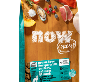 NOW FRESH!™ 無穀物狗糧配方｜火雞﹐三文魚﹐鴨肉｜大型犬｜成年 For Discount