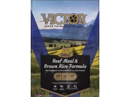 🔸Victor 牛肉糙米配方 - (全犬糧) For Cheap