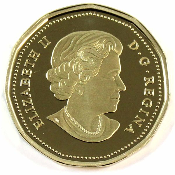 2019 Canada Loon Dollar Proof (non-silver) Online Hot Sale