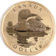 2012 Canada Common Loon Dollar Specimen on Sale