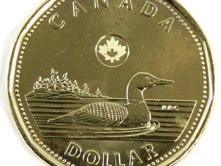 2019 Canada Loon Dollar Brilliant Uncirculated (MS-63) Online