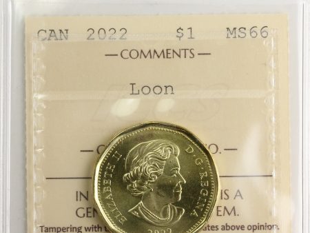 2022 Canada Loon Dollar ICCS Certified MS-66 Online Hot Sale