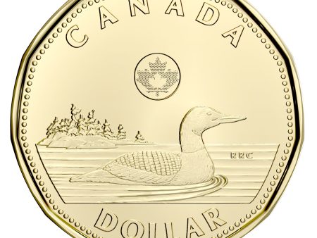 2021 Canada Loon Dollar Brilliant Uncirculated (MS-63) Online now