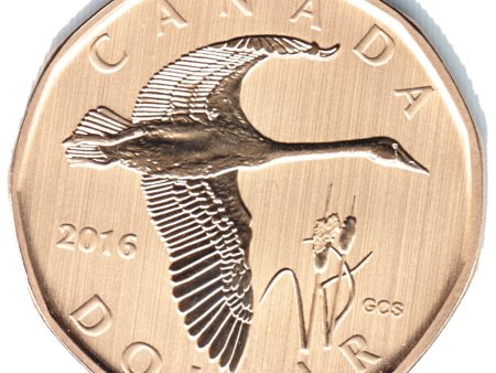 2016 Canada Tundra Swan Dollar Specimen$ Supply