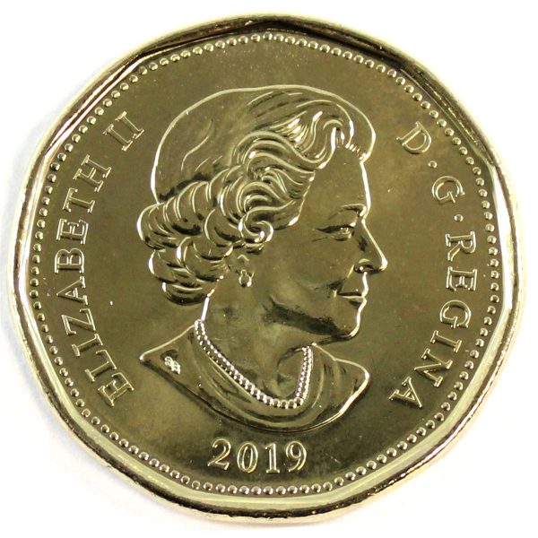 2019 Canada Loon Dollar Brilliant Uncirculated (MS-63) Online