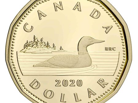 2020 Canada Loon Dollar Silver Proof (No Tax) Online Sale