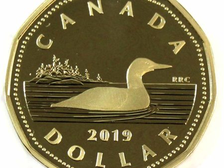 2019 Canada Loon Dollar Proof (non-silver) Online Hot Sale