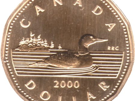 2000 Canada Loon Dollar Specimen Fashion