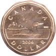 2006 Canada Loon (No Logo) Dollar Proof Like Fashion