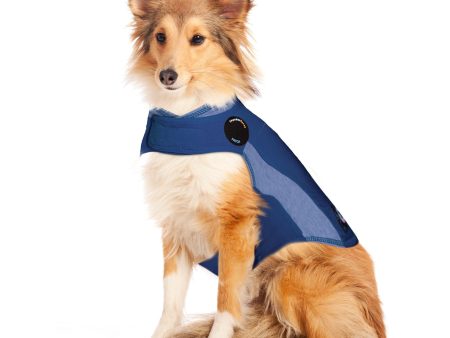 Thunderworks ThunderShirt for Dogs: Blue Polo on Sale