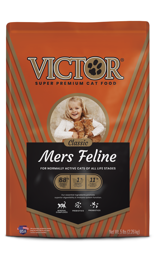 Victor Mers Classic Feline For Sale